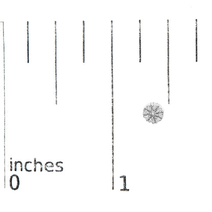 White metal round cluster earrings with prong-set white gemstones, shown on a ruler for size reference, top-down angle.