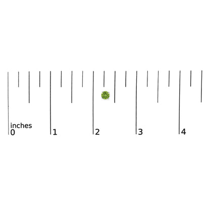 Close-up image of a single round green gemstone earring set with four prongs in white metal, shown on a scale with inch markings.