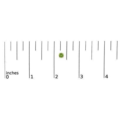 Yellow metal stud earrings with round green gemstones in 4-prong settings, shown on a scale from above.