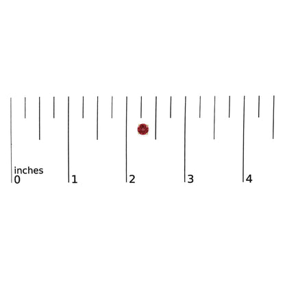 Close-up front view of a single round red gemstone earring set in yellow metal with a four-prong setting, shown on a ruler scale.