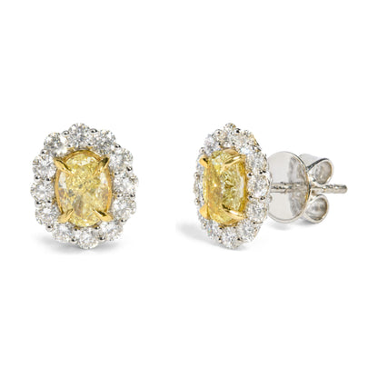 18K White Gold 2 Cttw Oval Yellow Diamond and Round Diamond Halo Stud Earrings