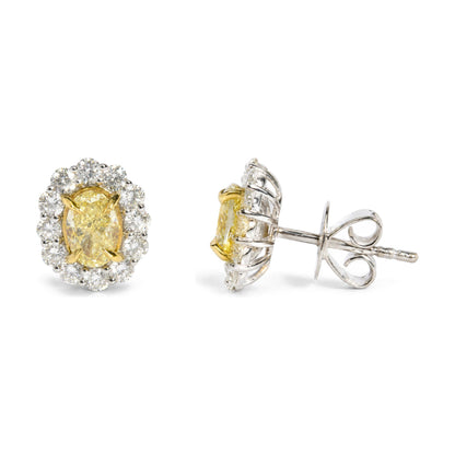 18K White Gold 2 Cttw Oval Yellow Diamond and Round Diamond Halo Stud Earrings