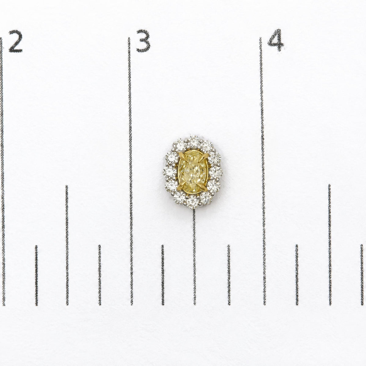 18K White Gold 2 Cttw Oval Yellow Diamond and Round Diamond Halo Stud Earrings