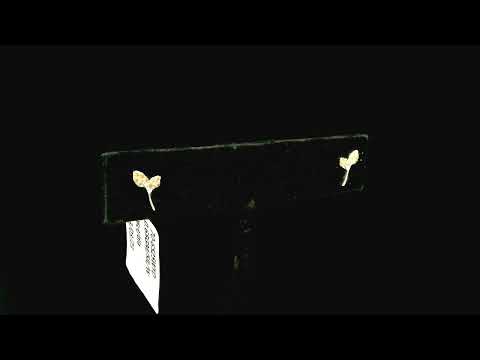 Rotating video showing the jewelry item