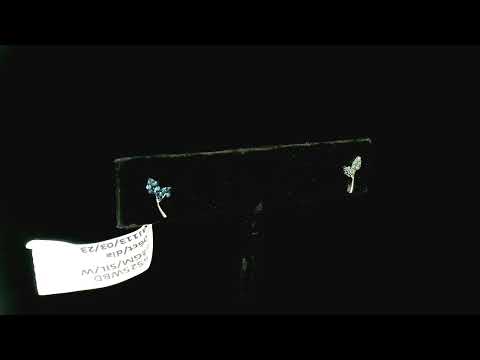 Rotating video showing the jewelry item