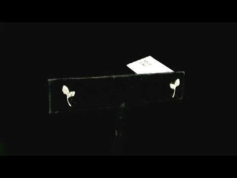 Rotating video showing the jewelry item